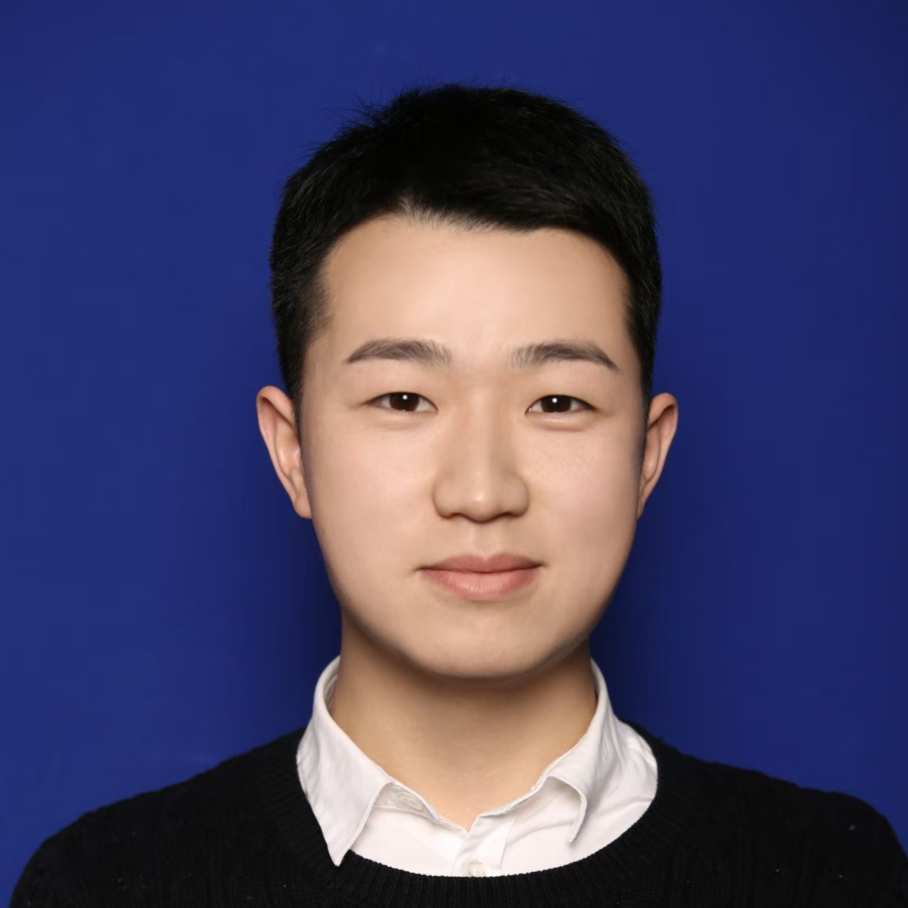 刘磊